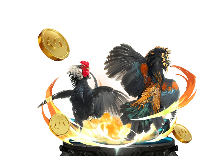 Cá cược Thể thao VB66